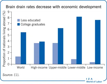 Brain Drain
